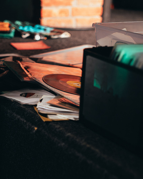 roots_in_the_woods (9)